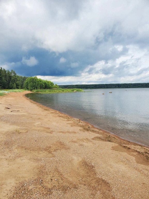 Усадьба Ёкикюля, Ленинградская область: фото 5