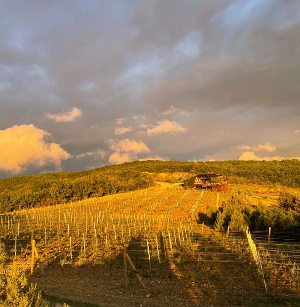 «Родное гнездо» усадьба | Родное гнездо, Крым