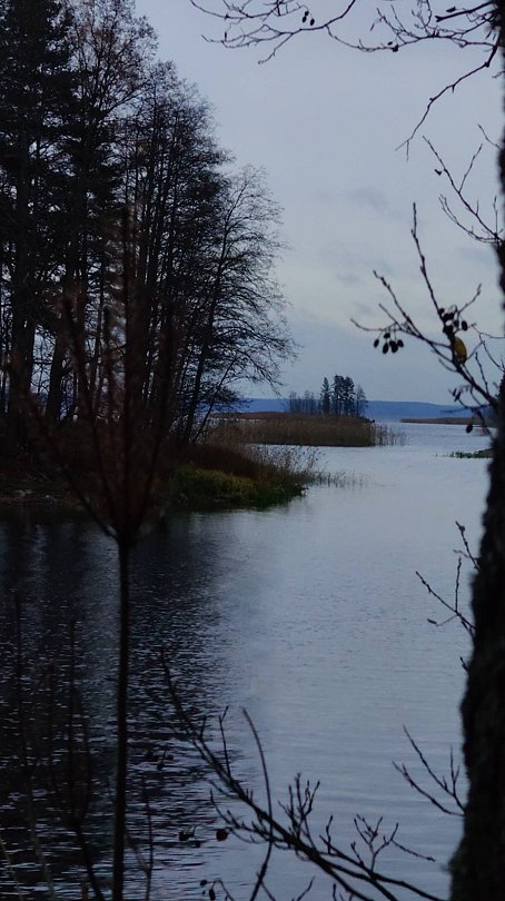 Фото 1 из отзыва о базе отдыха 7 пятниц