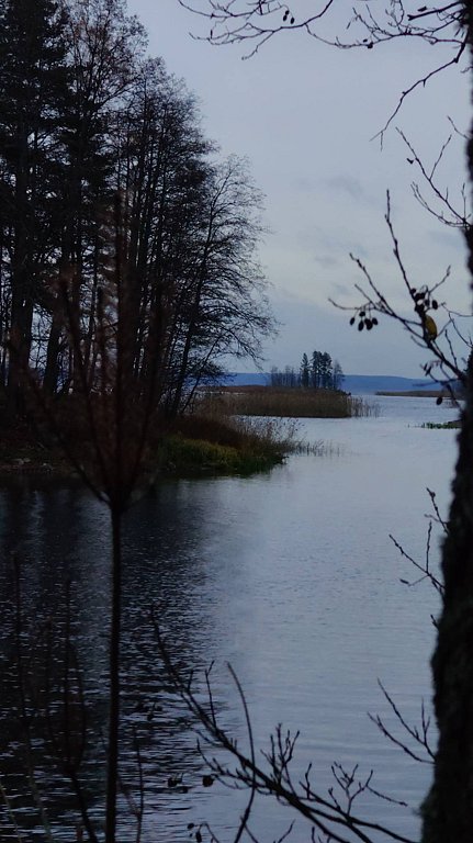 Фото из отзыва от 01.11.2025