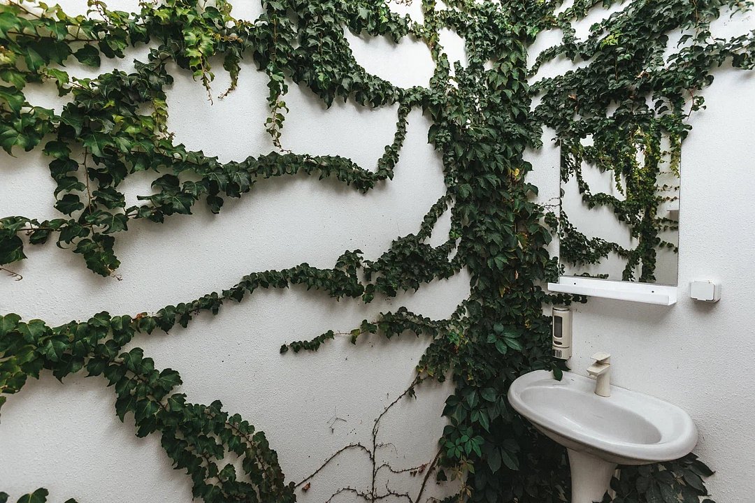 Домик Кемпинг 2-местный 1-комнатный