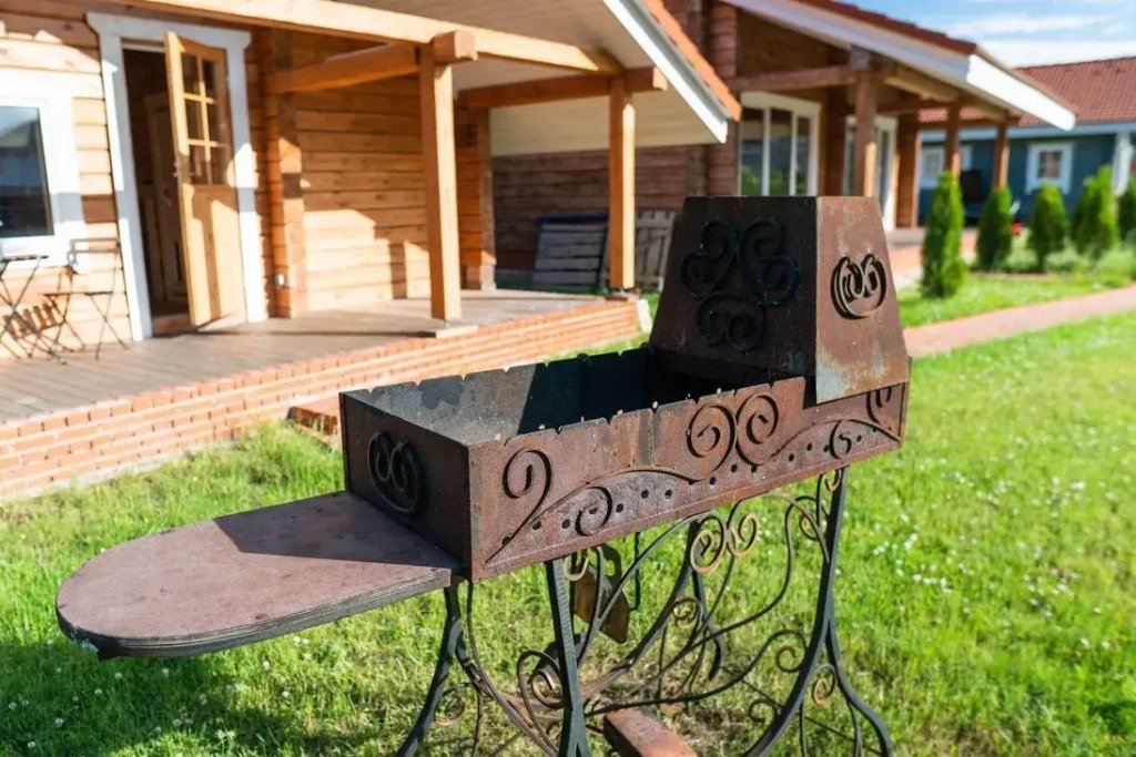 Частный дом на ухоженном участке с газоном и туями, Ленинградская область: фото 4