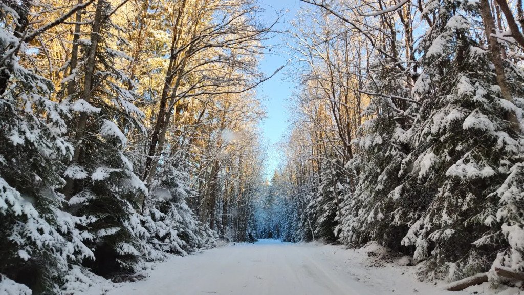 Частный Дом с Баней, Ленинградская область: фото 5