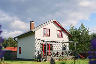 Частный дом Мышкин дом