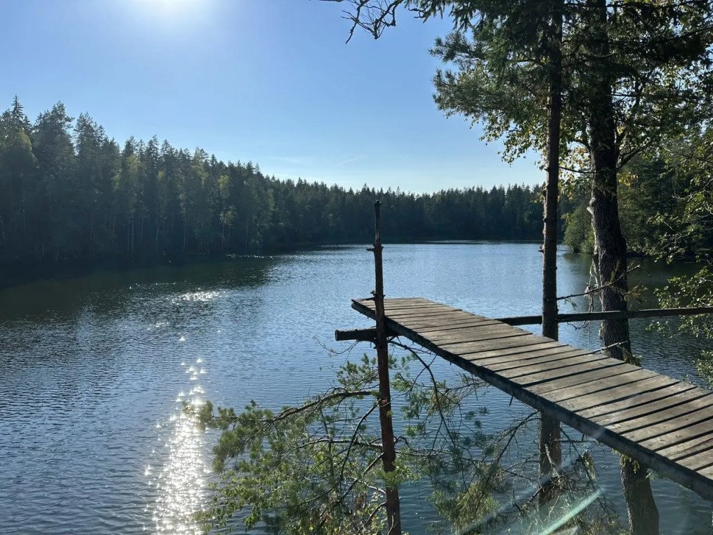 Частный дом Шепот леса, Ленинградская область: фото 5