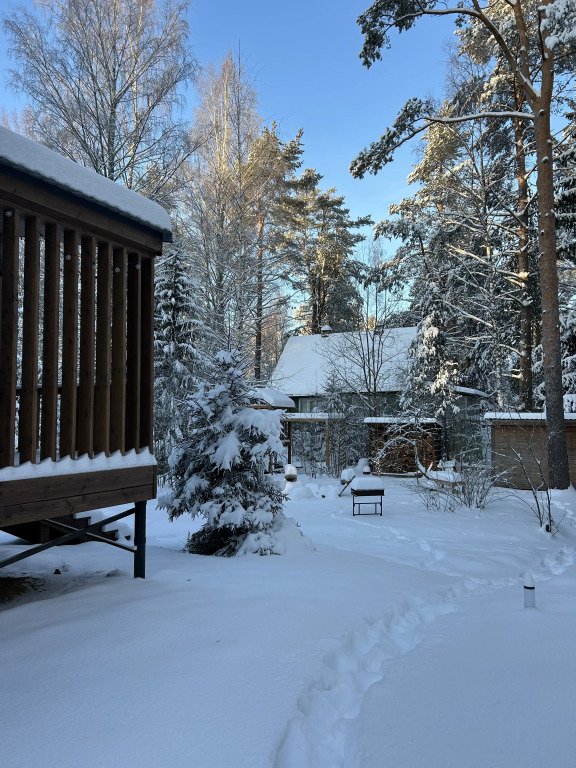 Частный дом у озера с террасой Сосновый дом, Ленинградская область: фото 2