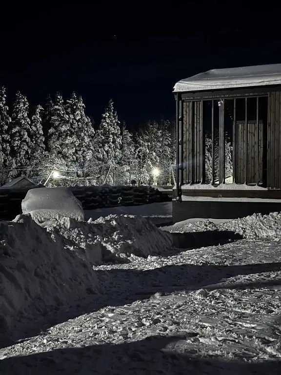 Частный дом Igora Family House, Ленинградская область: фото 5