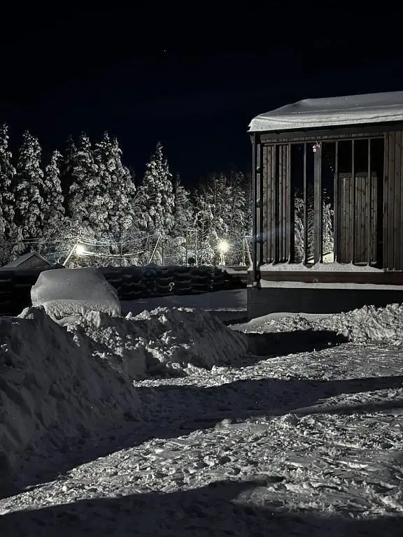 Частный дом Igora Family House, Ленинградская область: фото 5