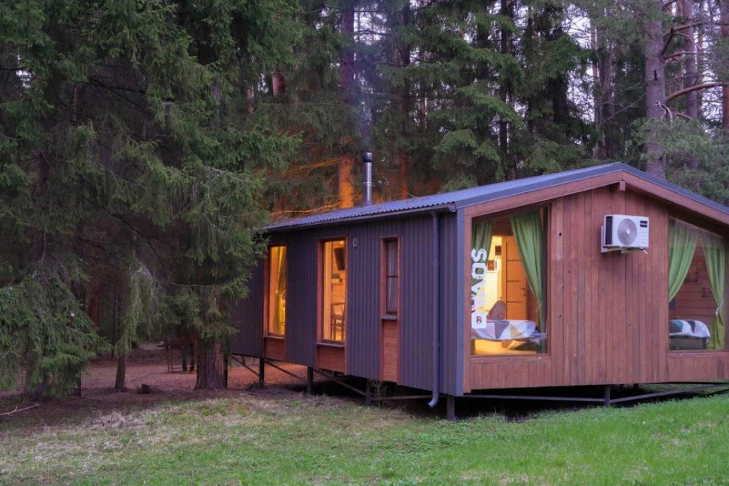 Пихта №8, Ленинградская область: фото 2