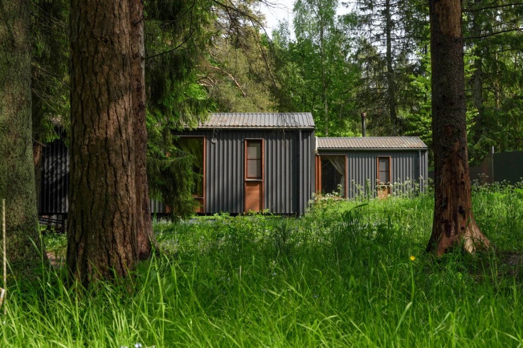 Пихта №8, Ленинградская область: фото 3