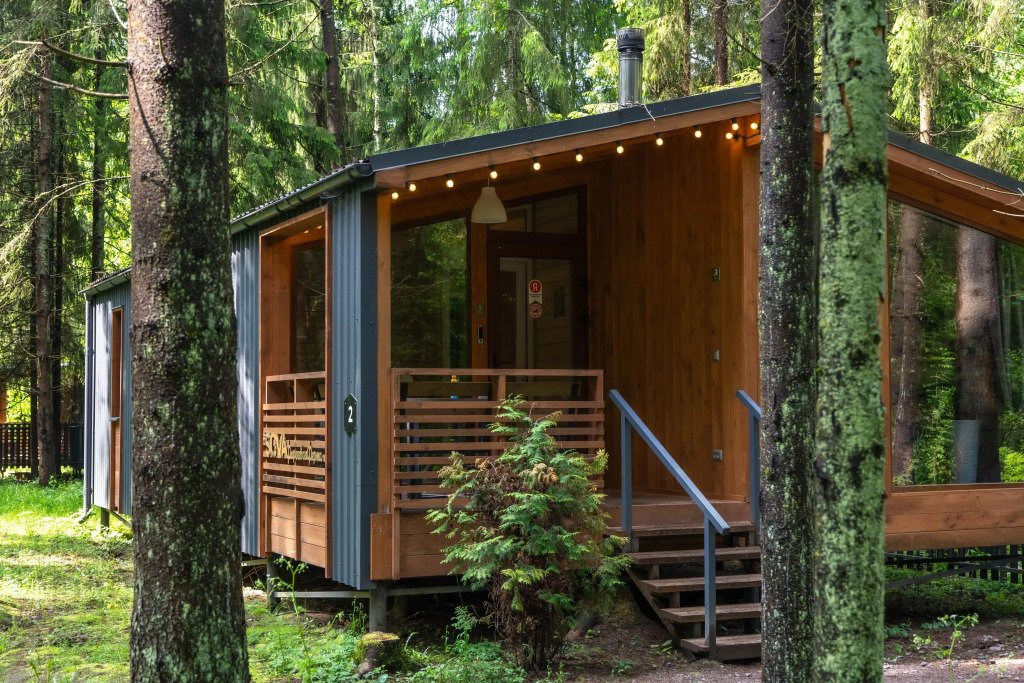 Пихта №2, Ленинградская область: фото 2