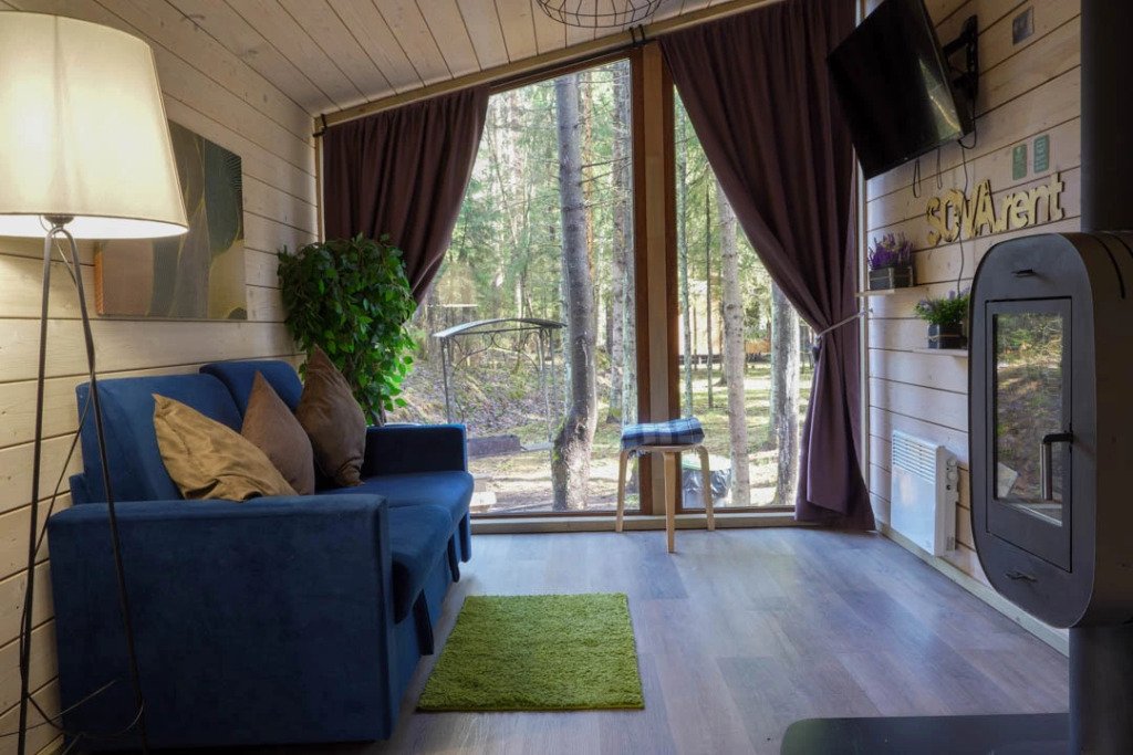 Пихта №2, Ленинградская область: фото 3