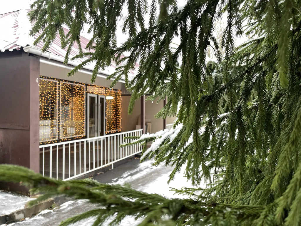 Дранишники, Ленинградская область: фото 3