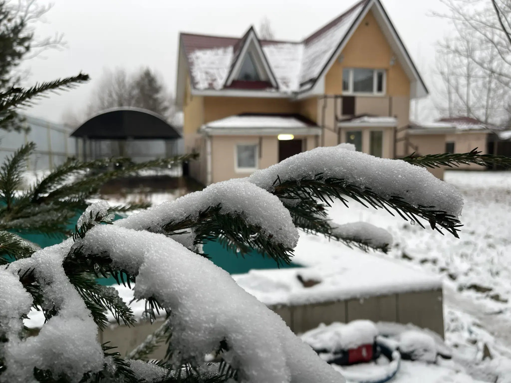 Дранишники, Ленинградская область: фото 2
