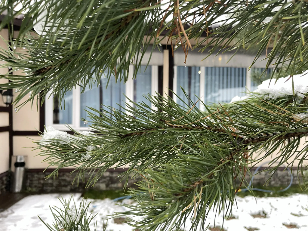 Шалле, Ленинградская область: фото 3