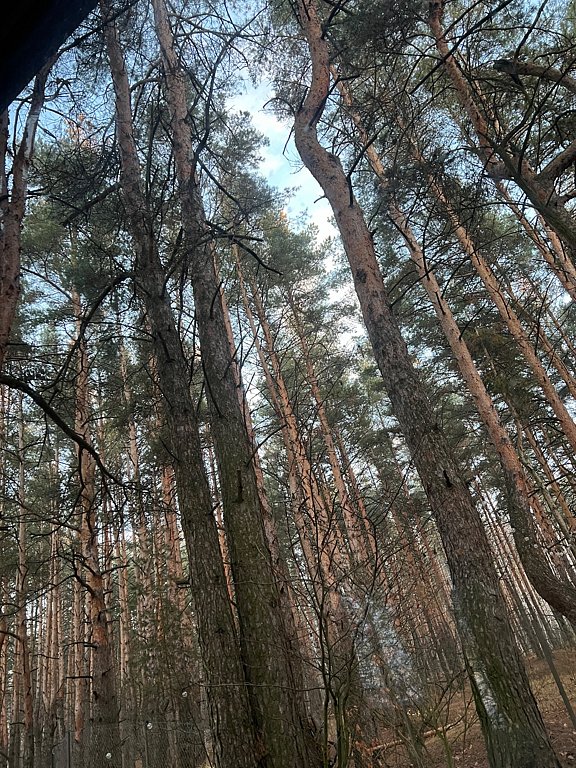 Фото из отзыва от 15.11.2025