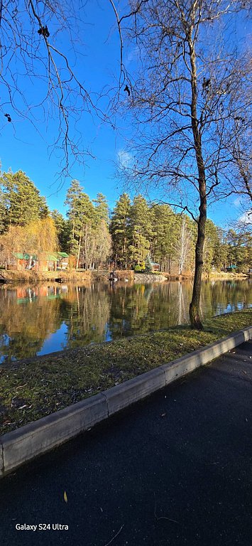 Фото из отзыва от 15.11.2025