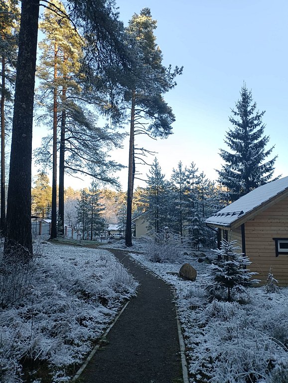 Фото из отзыва от 14.11.2025