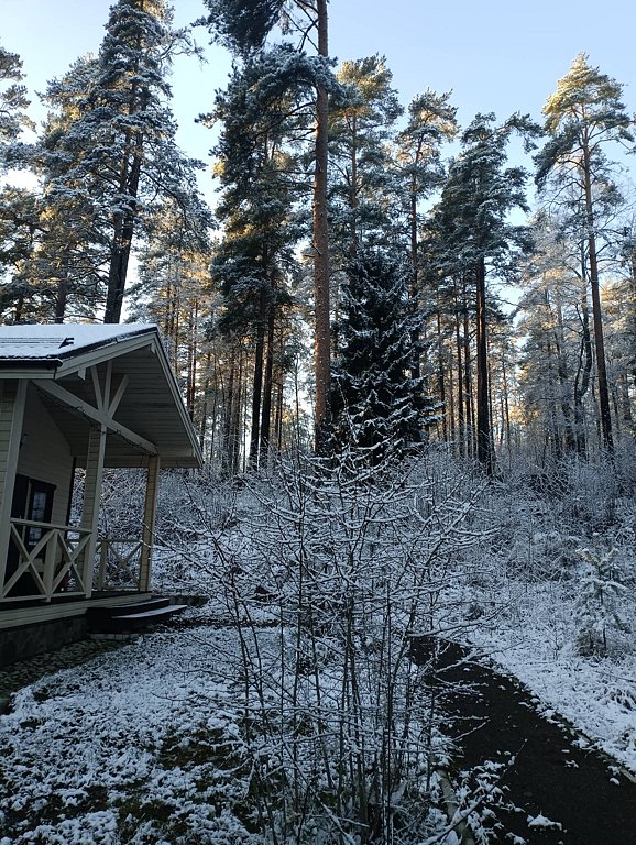 Фото из отзыва от 14.11.2025