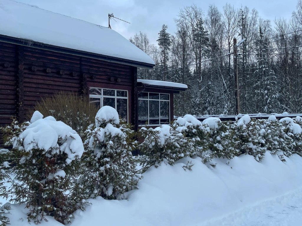 Артек Лайт, Ленинградская область: фото 3