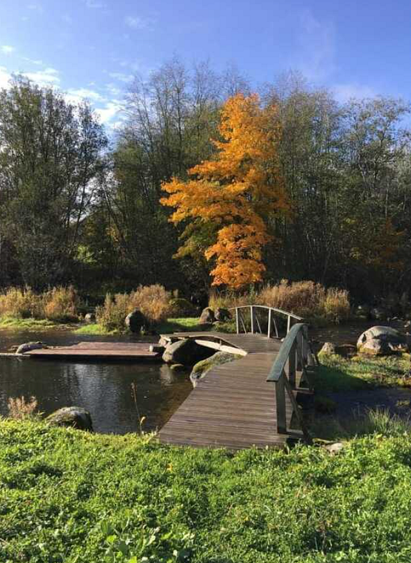 Усадьба Ястребино коттедж Нижний Дом, Ленинградская область: фото 5