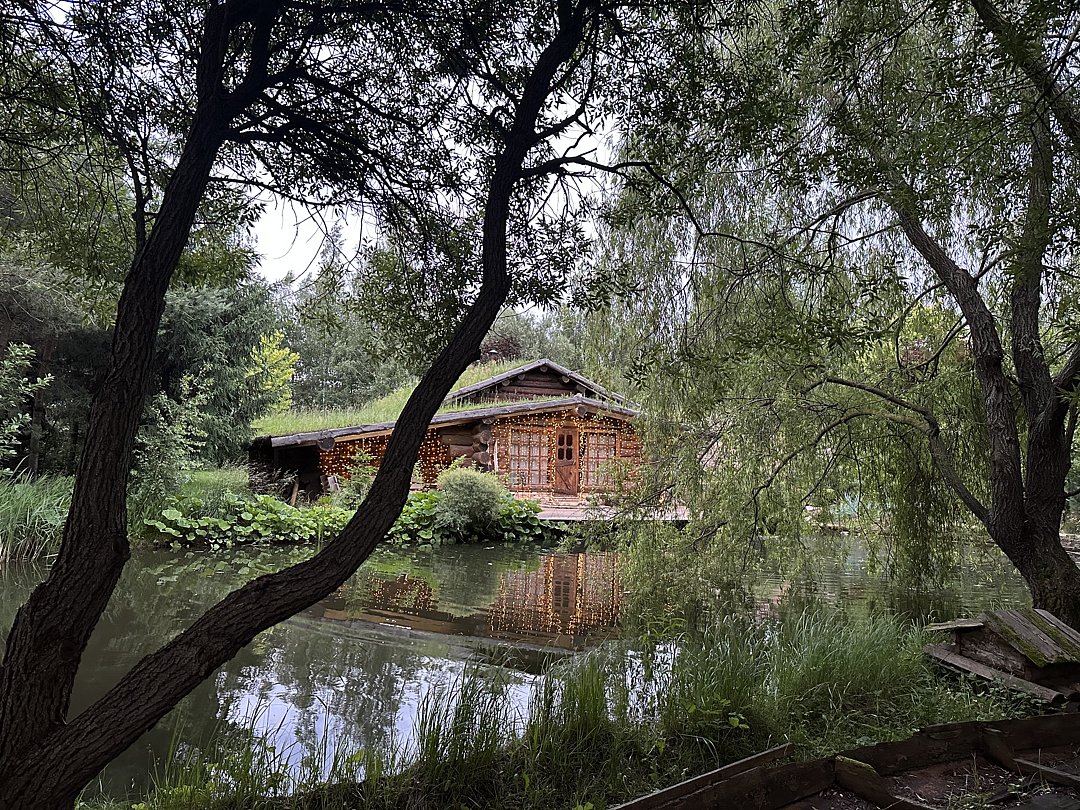 Таежный, Московская область: фото 5