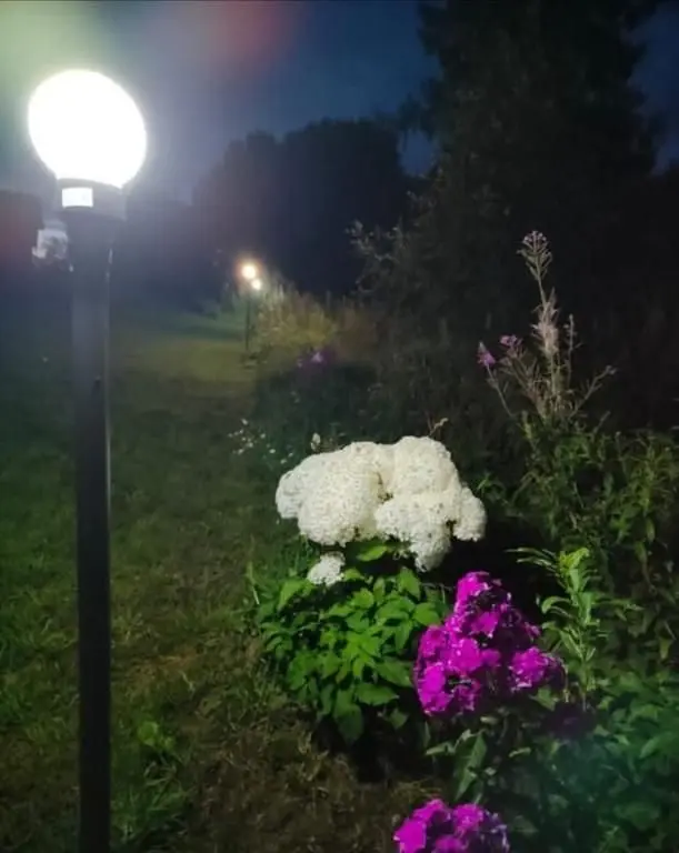 Частный дом Рускеалочка, Республика Карелия: фото 2