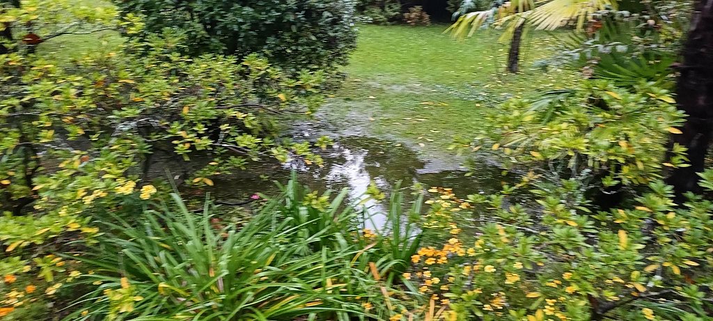 Фото из отзыва от 13.11.2025