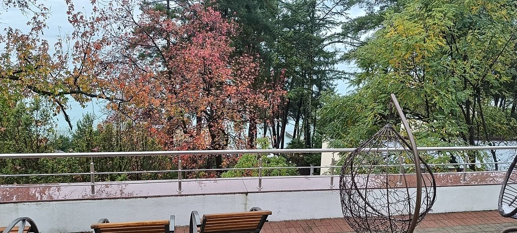 Фото из отзыва от 13.11.2025