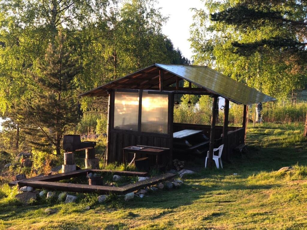 Медвежья лапа, Республика Карелия: фото 3