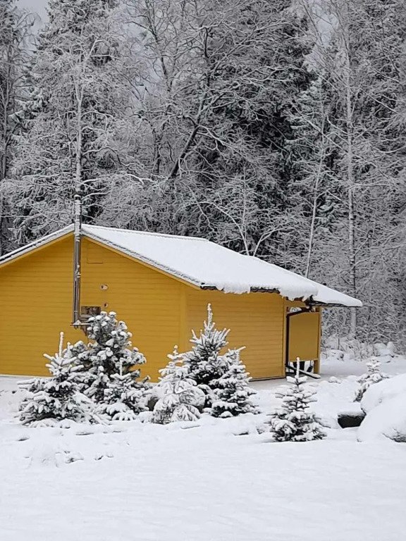 Дом с выходом в лес, Республика Карелия: фото 4