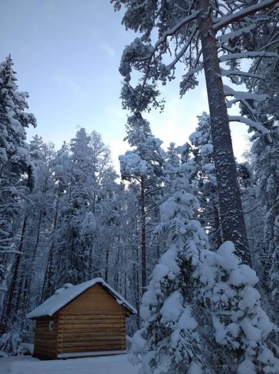 Частный Дом на Дачной 23, Республика Карелия: фото 4