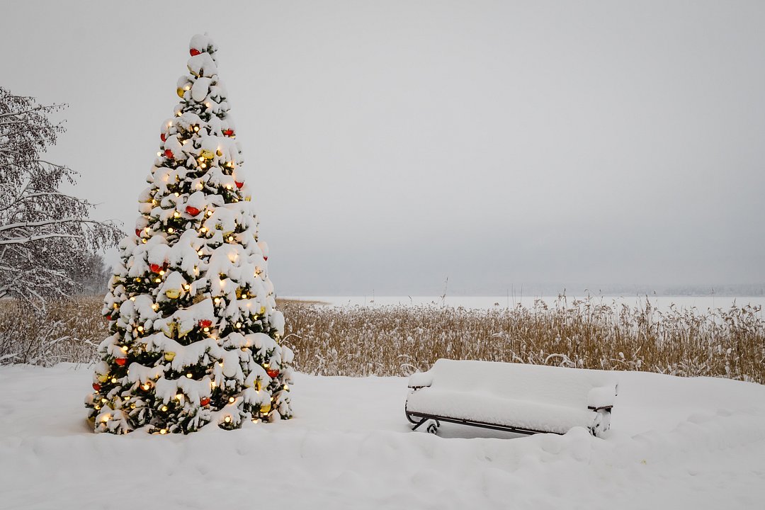 Коттедж-клуб Брусника, Ленинградская область: фото 4