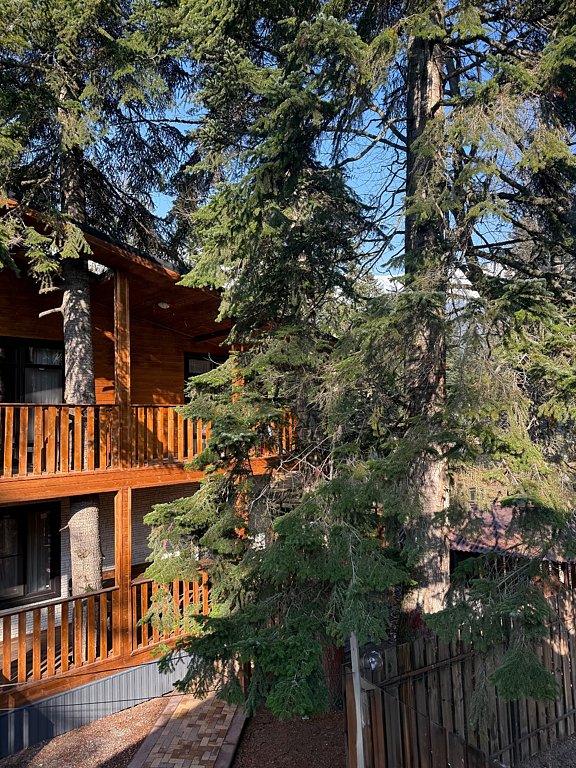 Фото из отзыва от 15.11.2025