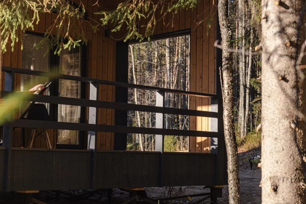 Частный дом Баpнxауc в Сосновом Бору, Республика Карелия: фото 3