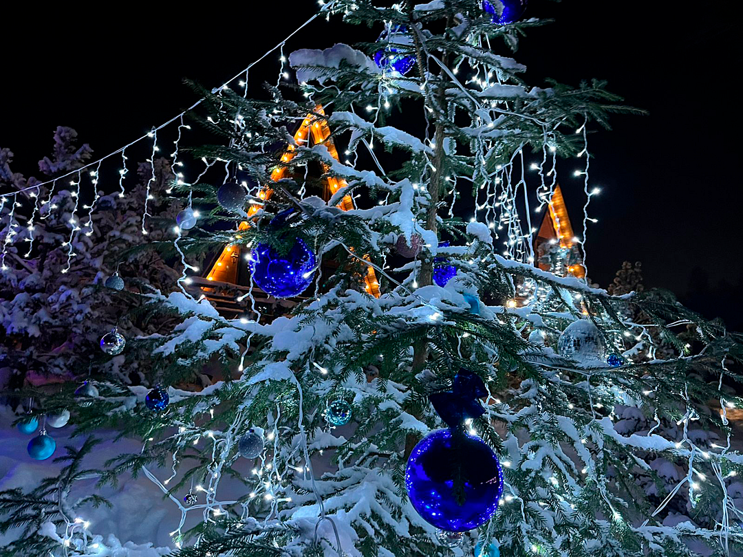 Рай в шалаше, Ленинградская область: фото 3