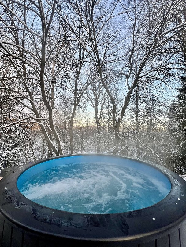 Дом в аренду Chalet Forest, Московская область: фото 2