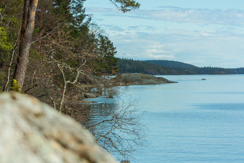 Частный Дом Lberry Малина, Республика Карелия: фото 3