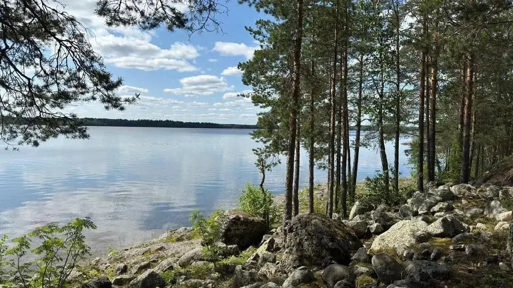 Частный дом в Республике Карелия, Республика Карелия: фото 5