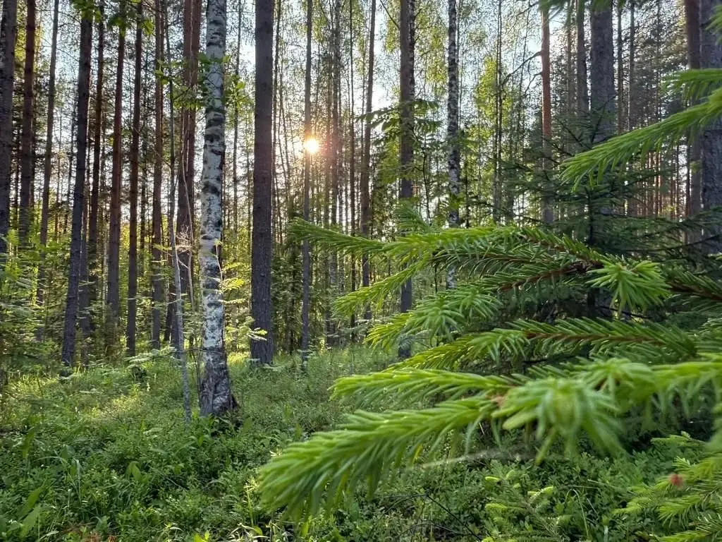 Частный дом в Республике Карелия, Республика Карелия: фото 3