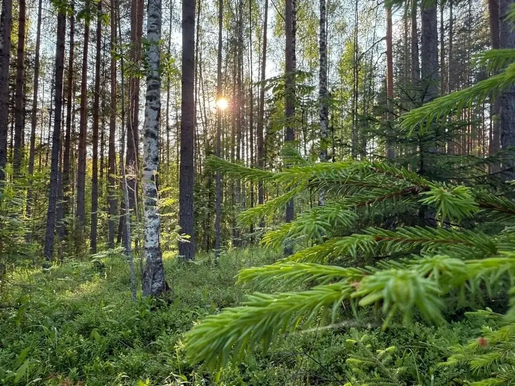 Частный дом в Республике Карелия, Республика Карелия: фото 3