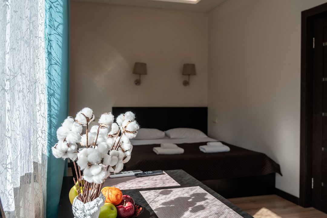 Люкс 2-местный (с балконом и видом на горы)