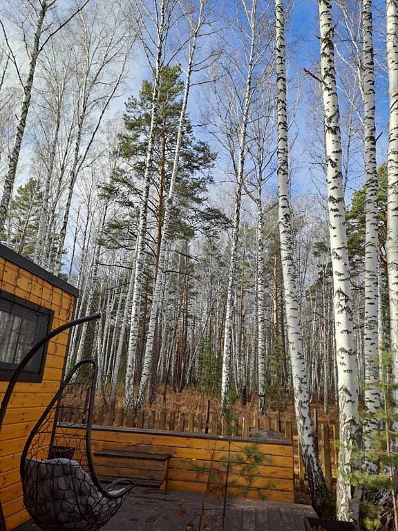 Фото из отзыва от 05.11.2025