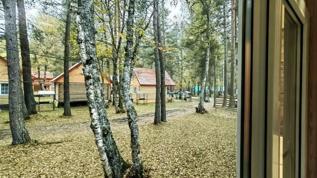 Архыз Форест Эко, Республика Карачаево-Черкесия: фото 5