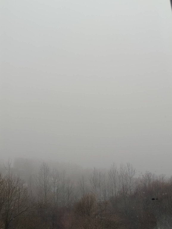 Фото из отзыва от 23.11.2025