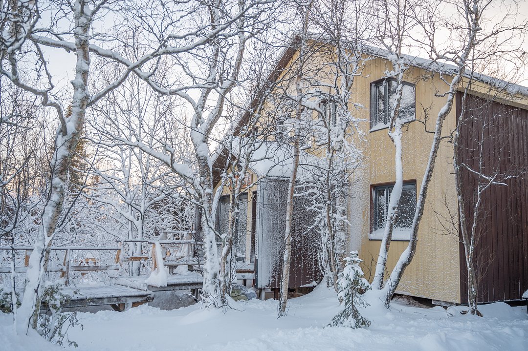 Тайга, Мурманская область: фото 4