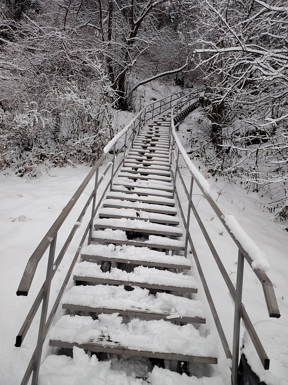 Фото из отзыва от 24.11.2025