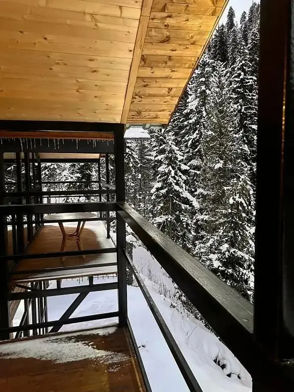 Шале Forest glamp, Республика Карачаево-Черкесия: фото 4