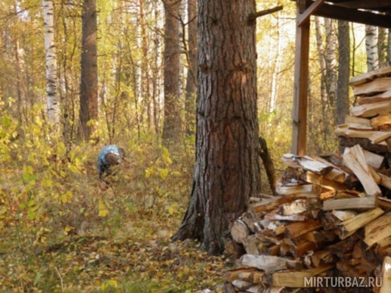 Заготовки дров для бани | Бобры, Ивановская область