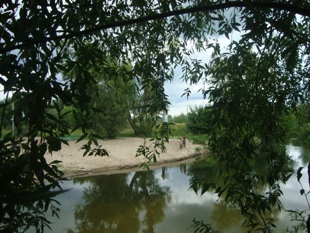 Чистые пруды, Тамбовская область: фото 5
